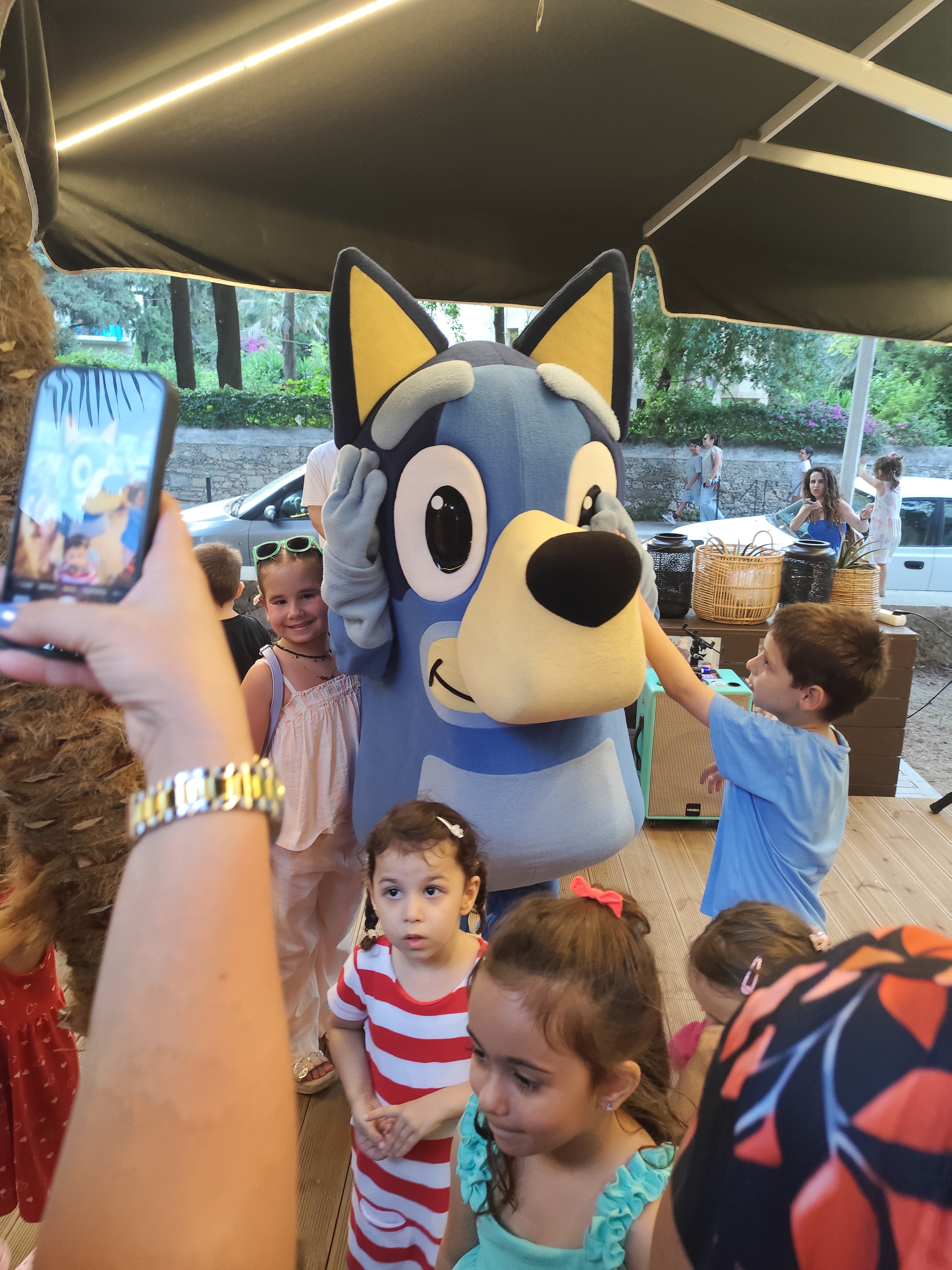 Bluey