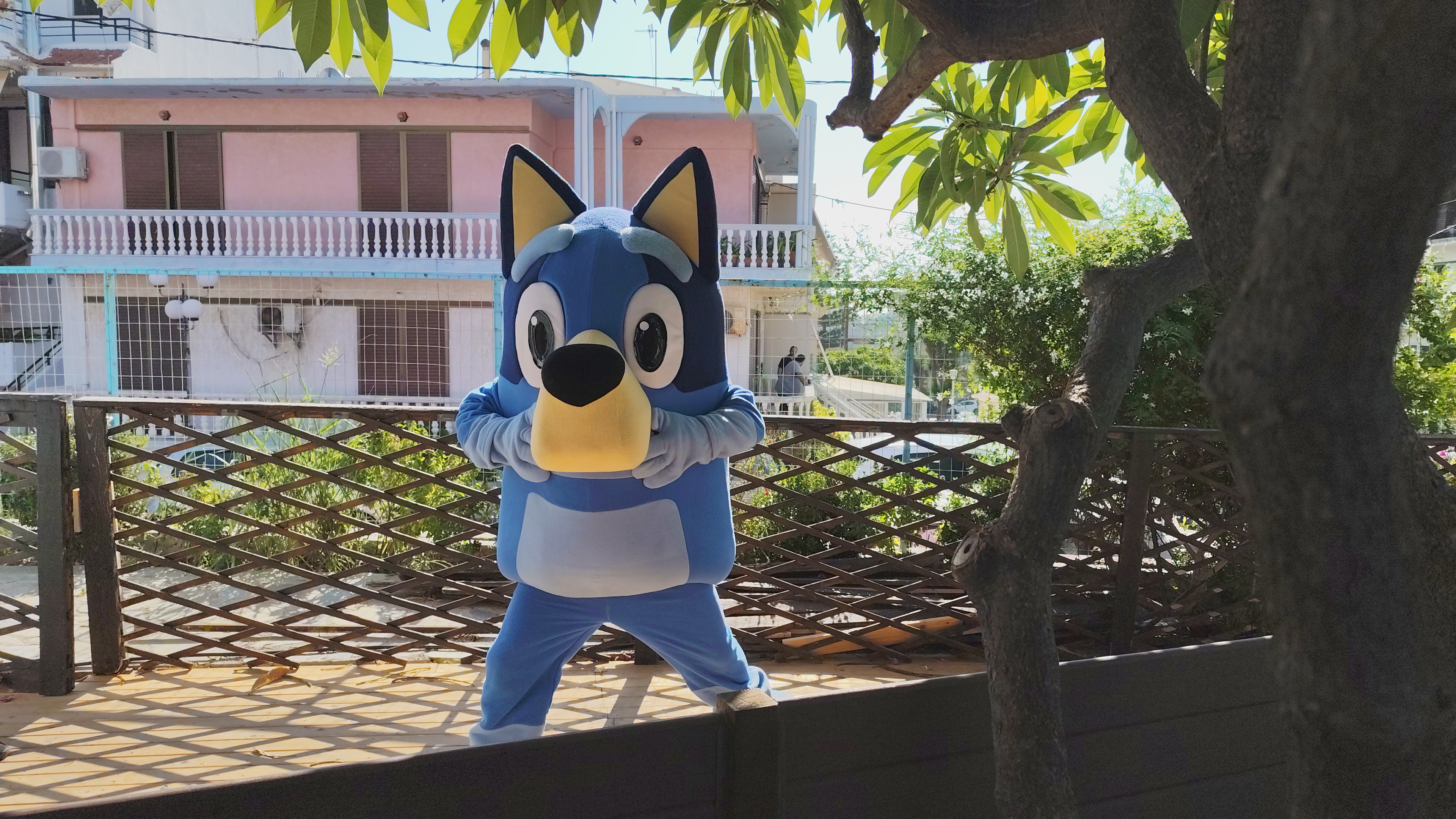 Bluey