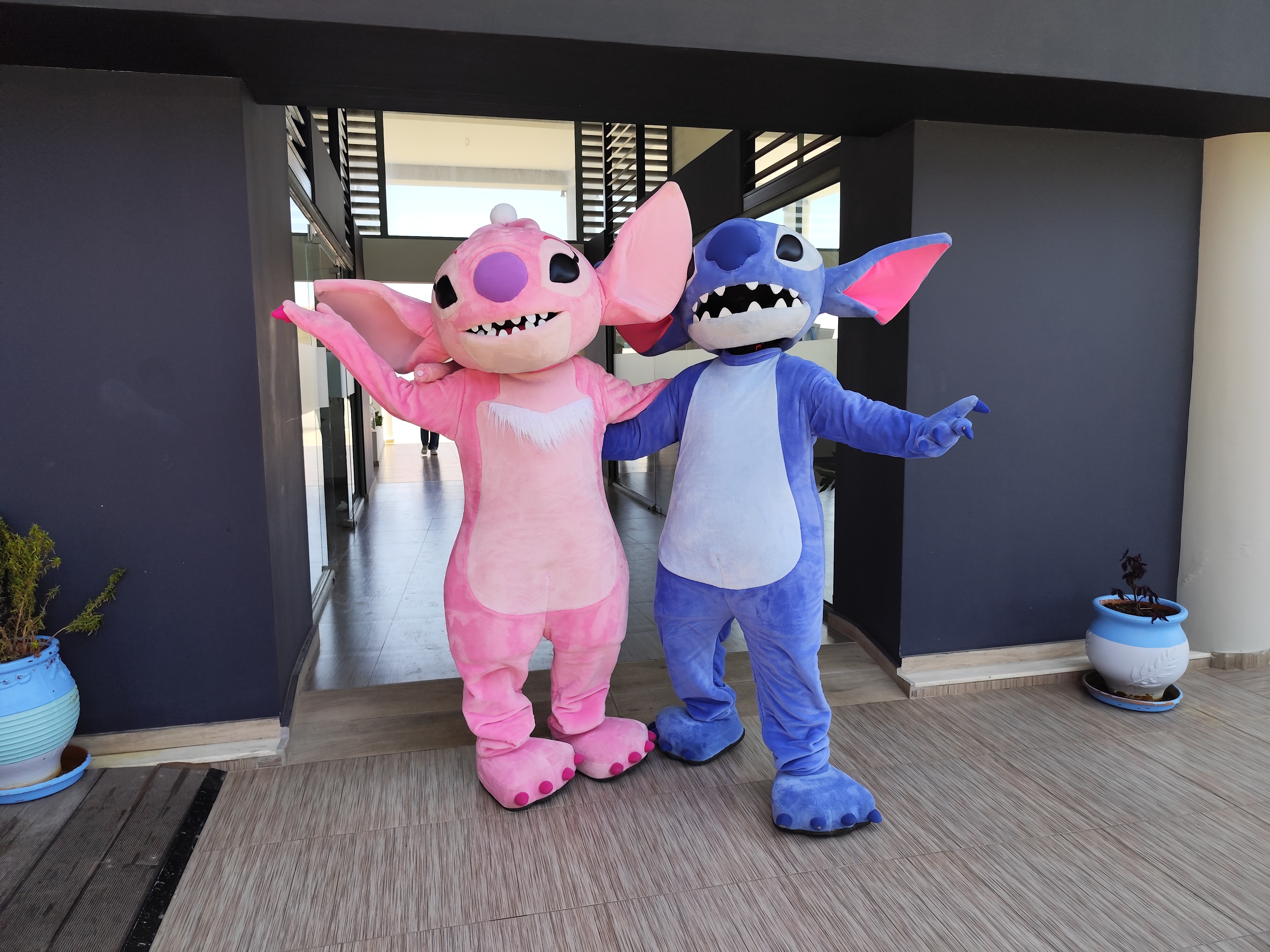 Stitch